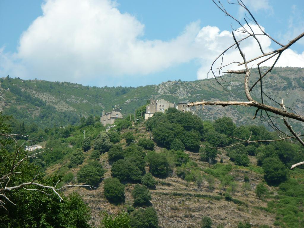 הוילה Quercitello Casa Valentini מראה חיצוני תמונה